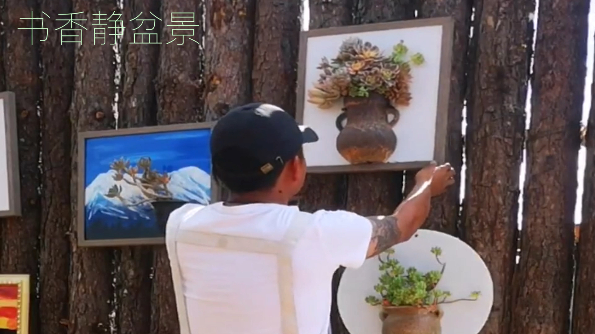 高人制作颠覆你想象的多肉植物盆景,壁挂式造型直接挂在木墙上