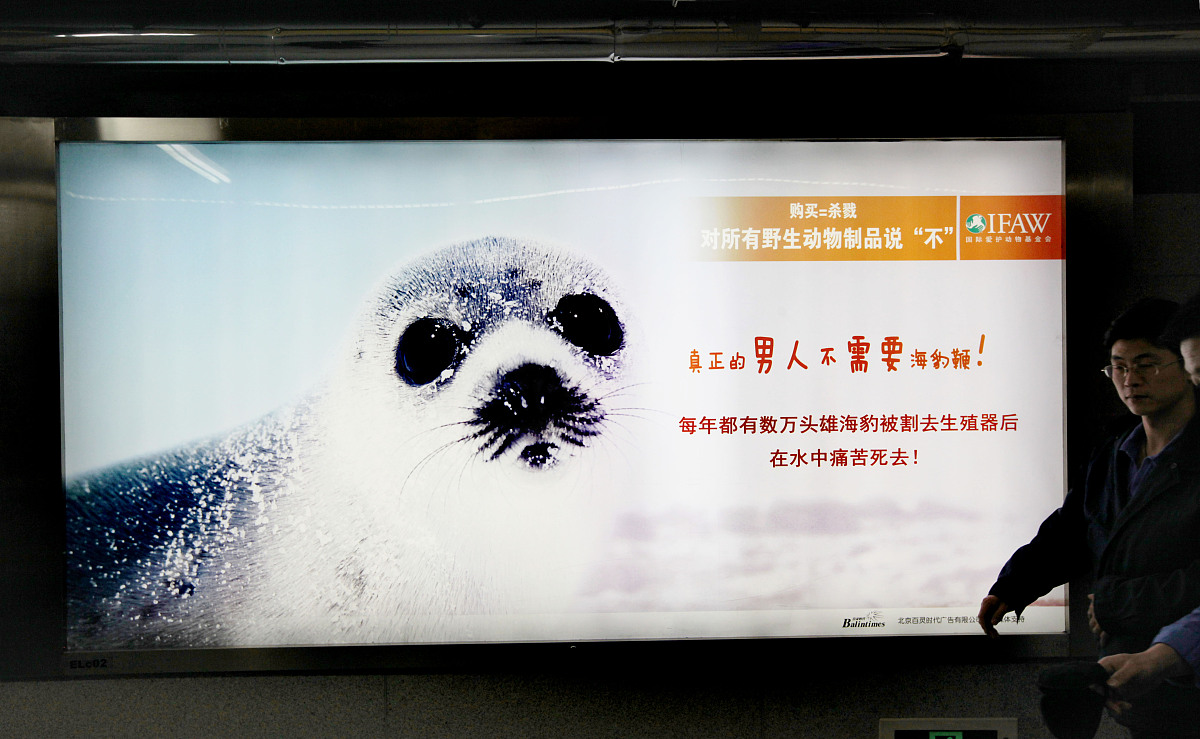 ***_***2011的12月2日,北京地铁乘客从ifaw 的" 购买=杀戮,对所有野生
