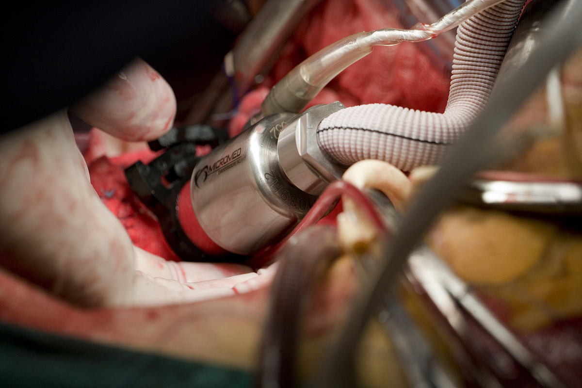 胎儿怎么获取氧气