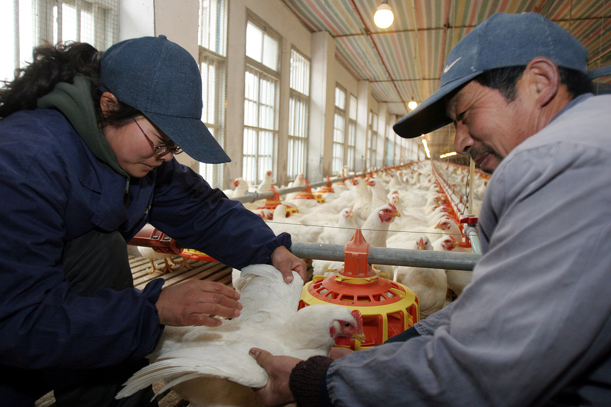四川高考专业学前教育专业如何