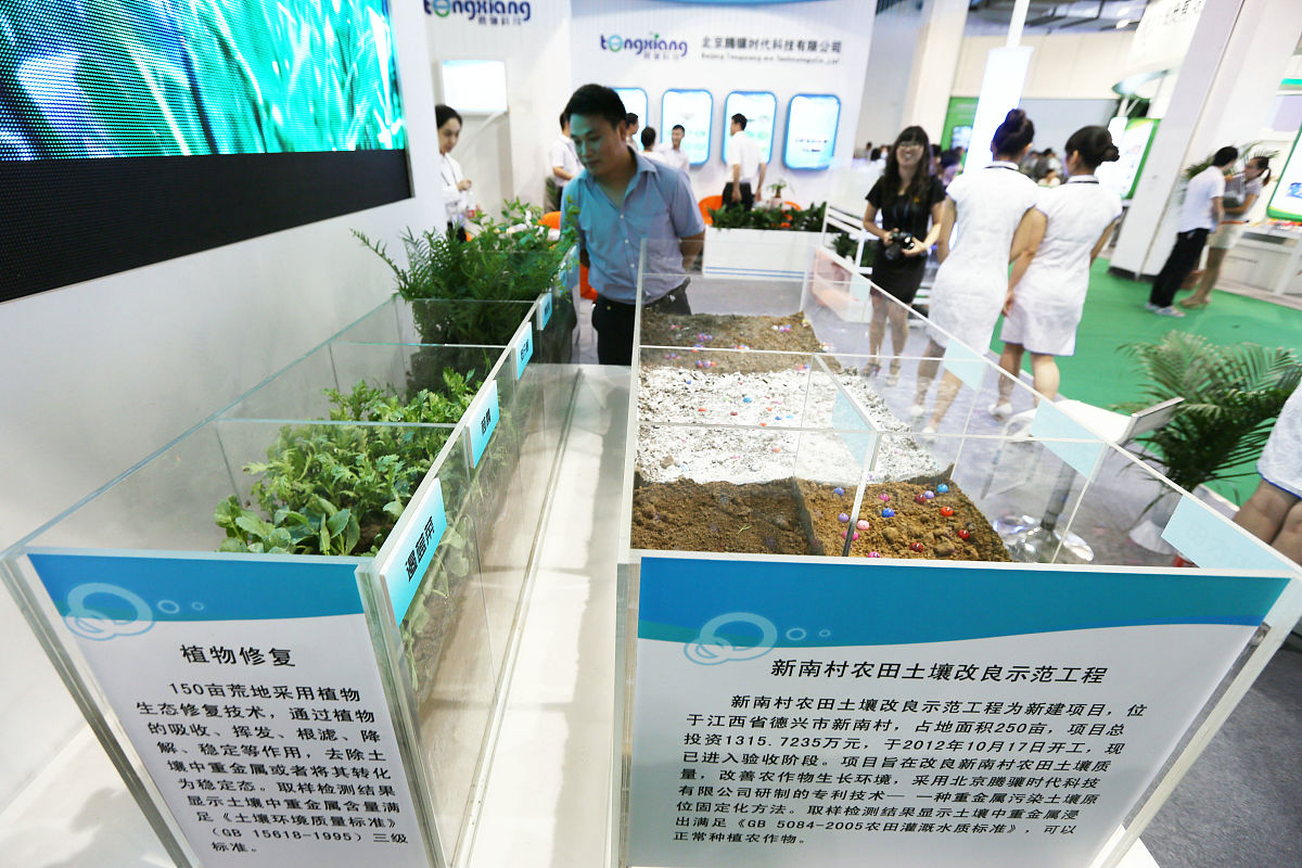 根表铁膜对重金属吸收转运的影响研究方法
