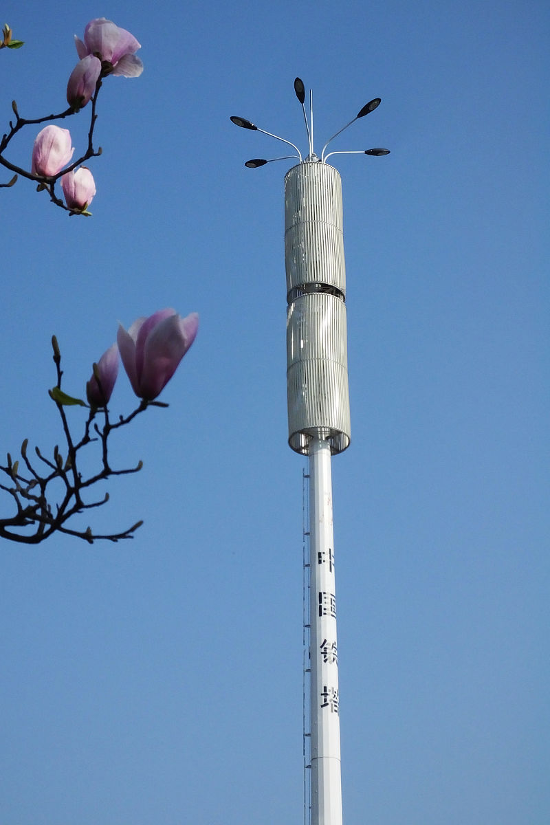2019年3月18日,湖北宜昌市夷陵区发展大道,盛开的红玉兰与中国铁塔.