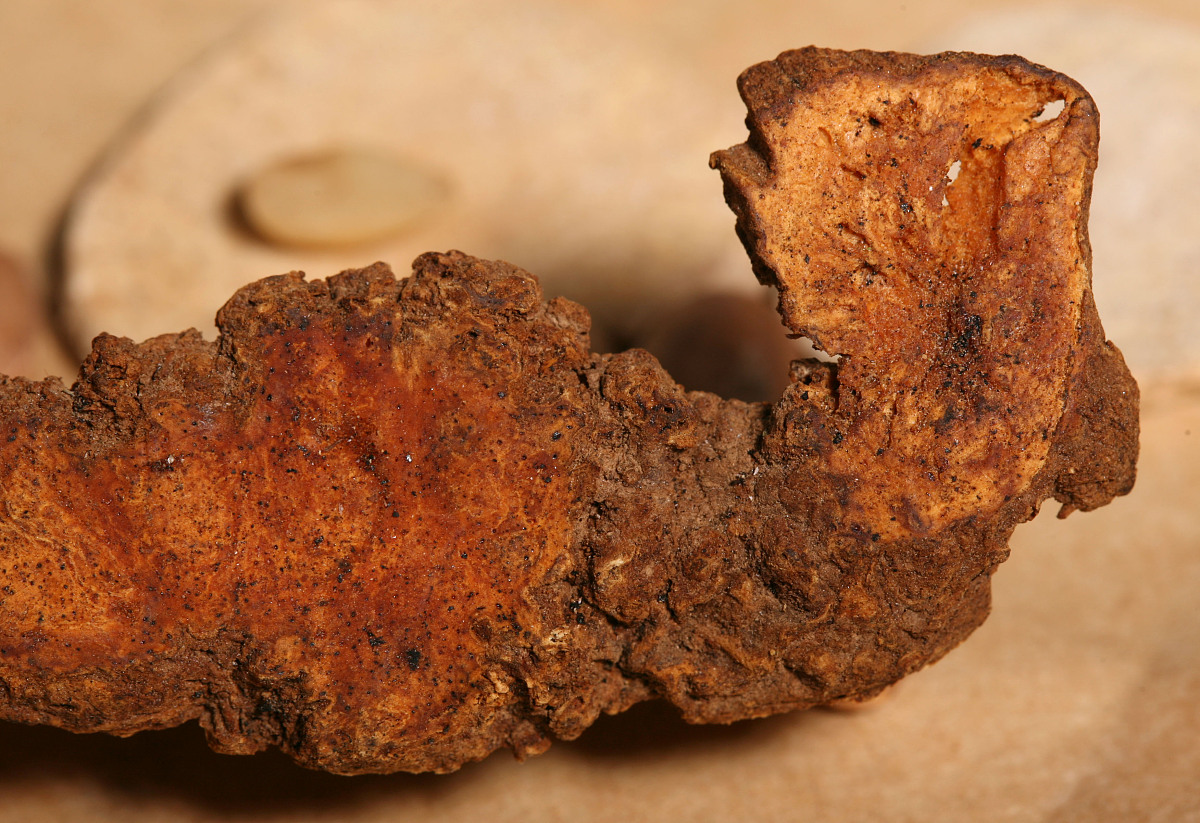 贵阳市乌当区中医药学校中药专业就业方向及前景