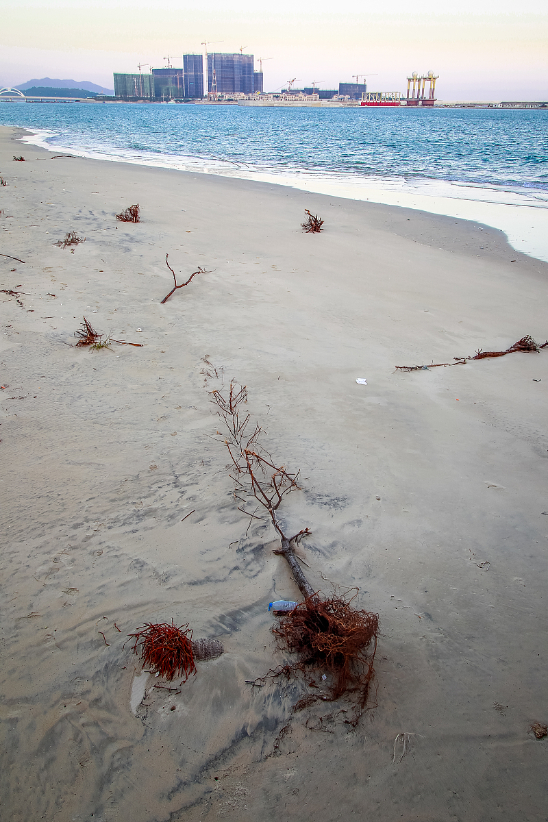 根据 机器学习神经网络 出30道考题 并且提供四个选项和最终正确答案和正确答案的详细说明