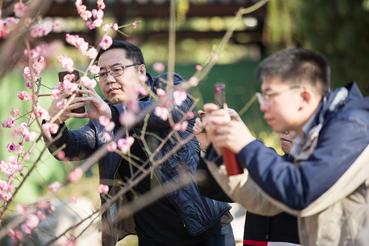 春天的美好：生机、希望与活力
