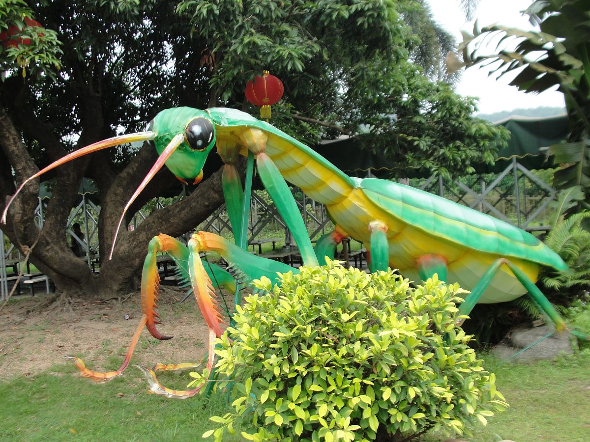 杭州技师学院2022年招生简章