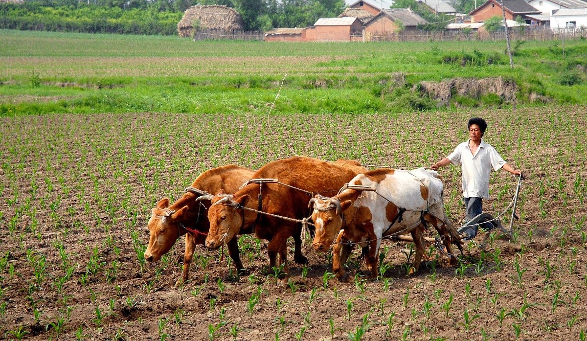 黑龙江农业经济职业学院作物生产技术专业专业到底行不行设有哪些课程
