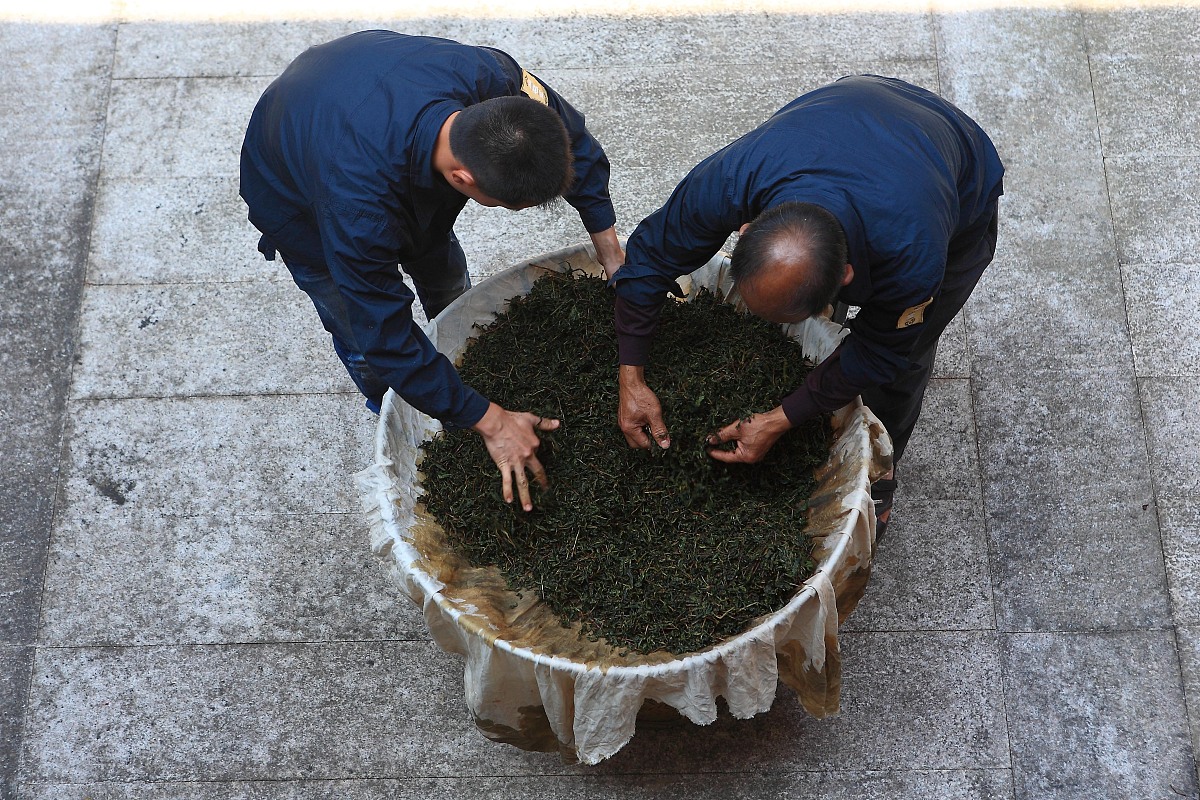 ***_***2013年10月12日,上海,福建传统乌龙茶制作方法