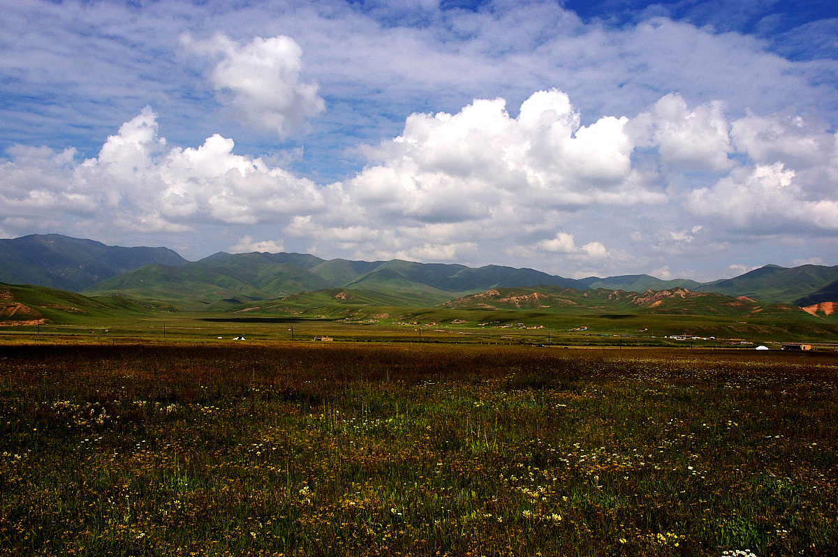 甘南州中等职业学校2022年招生简章 - 助您实现梦想