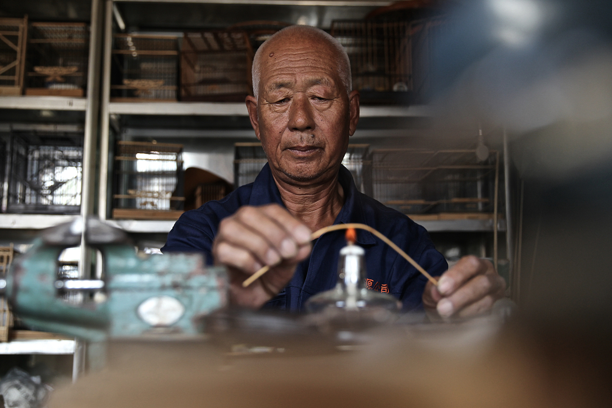 秦皇岛大东职业学校2022年招生简章