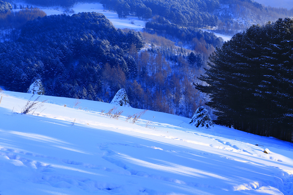 2017年01月06日,位于吉林省临江市花山镇20公里外的松岭雪村,海拔1200