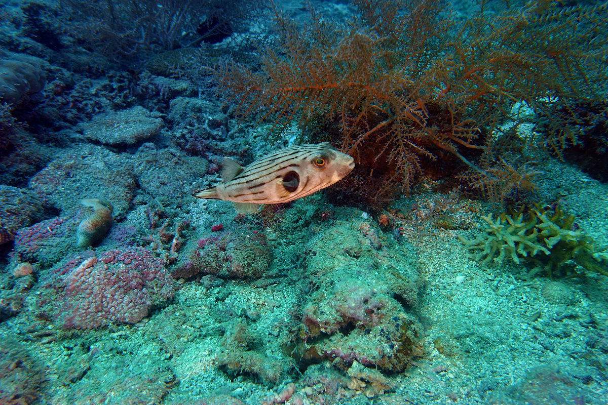 宁波海洋职业技术学校2023年招生专业