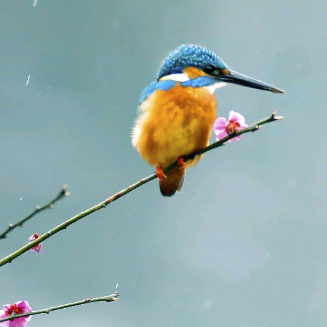 北魏孝文帝,欺骗30万人,为何贬妻杀子也要迁都