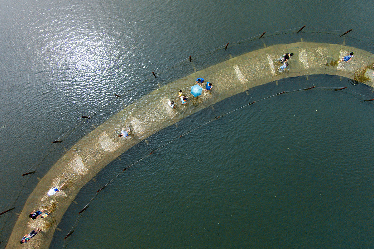 改写润色这一段话 崇明崇明岛位于北太平洋西岸中国海岸线的中点，地处于长江入海口处，是全世界最大的冲积岛屿，也是我国仅次于台湾岛和海南岛的第三大岛屿，有“长江门户，东海瀛洲”的美誉。全岛三面环江，崇明岛地势平坦，没有高耸的山岗丘陵，全岛西北部和中部地形较高，西南部和东部地形较低