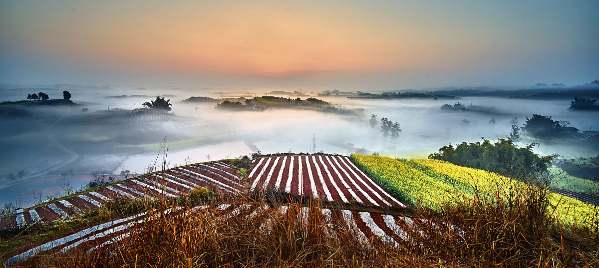 2019荣县技工学校招生要求