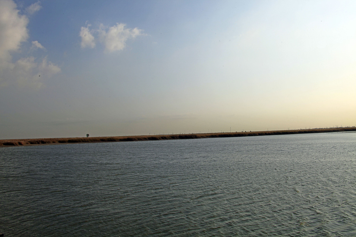 ***_***2011年10月18日,辽宁省盘锦市,世界最大的湿地芦苇荡风光.+++_