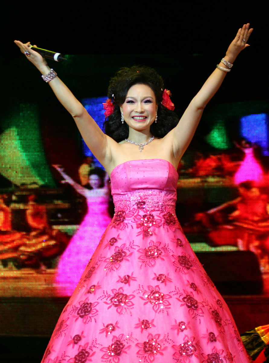 华语音乐经典之作：难忘的经典歌曲与经典演唱会