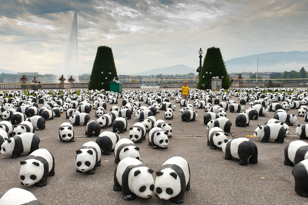 世界自然基金会(WWF)：保护地球自然环境和野生动物的国际组织