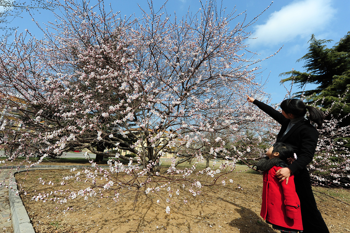 幼儿园春季主题月计划表：春天的色彩