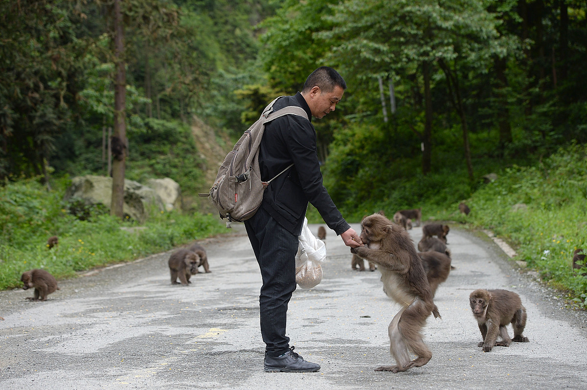 成都希望卫校报读条件及就业前景：入学要求、专业知识、实践能力