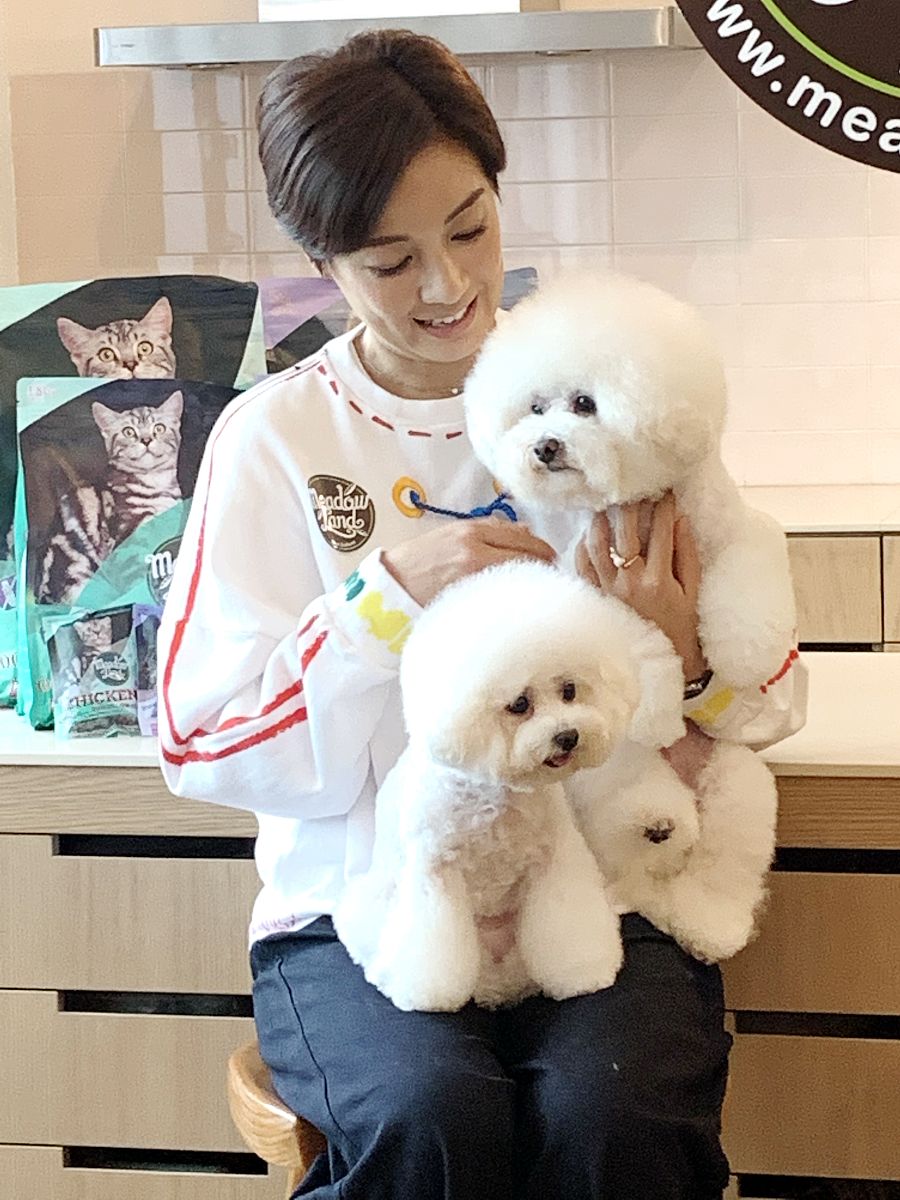 二年级作文：可爱的小猫咪