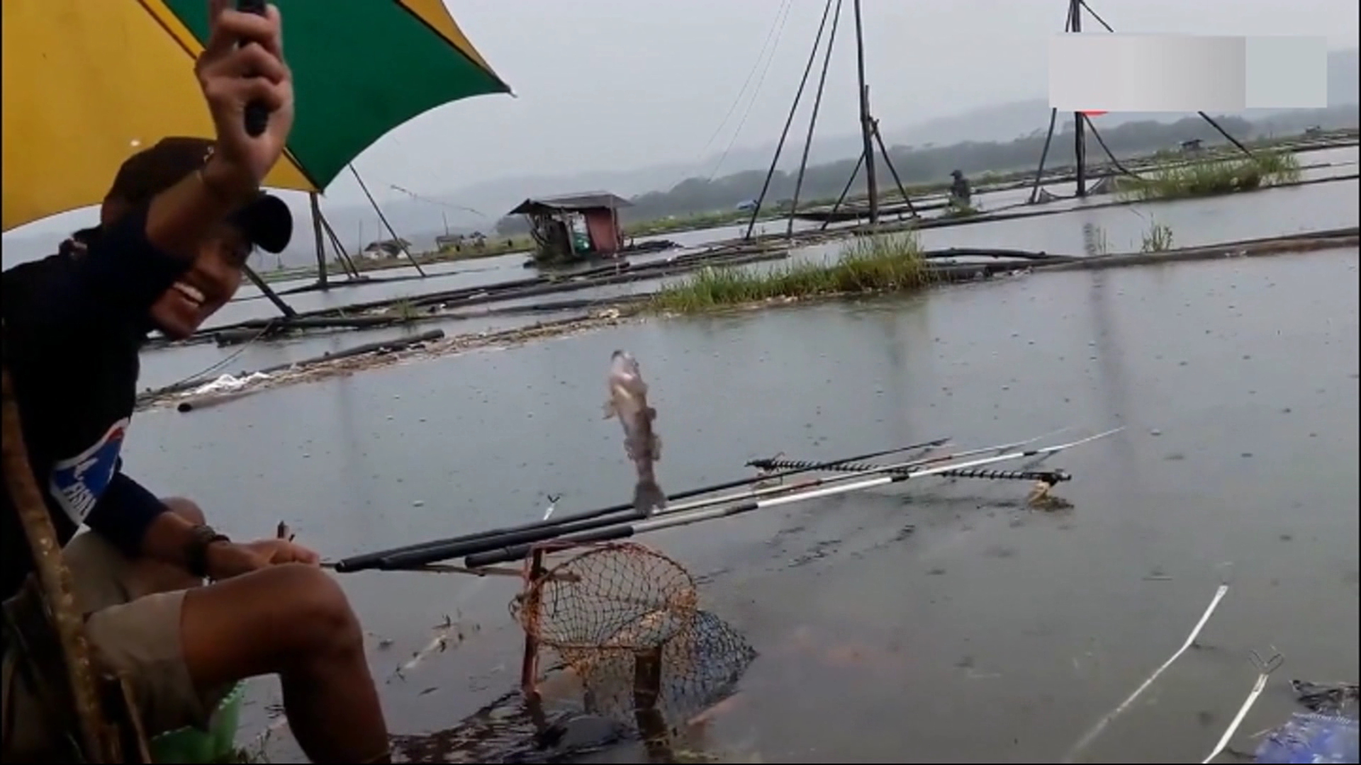 下雨天去河边野钓,鱼儿果然爱咬钩
