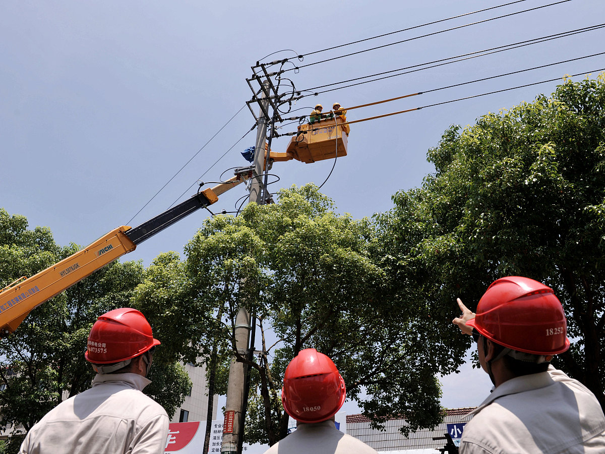 变电站涉鸟故障导则立项：多学科融合与利益平衡的挑战