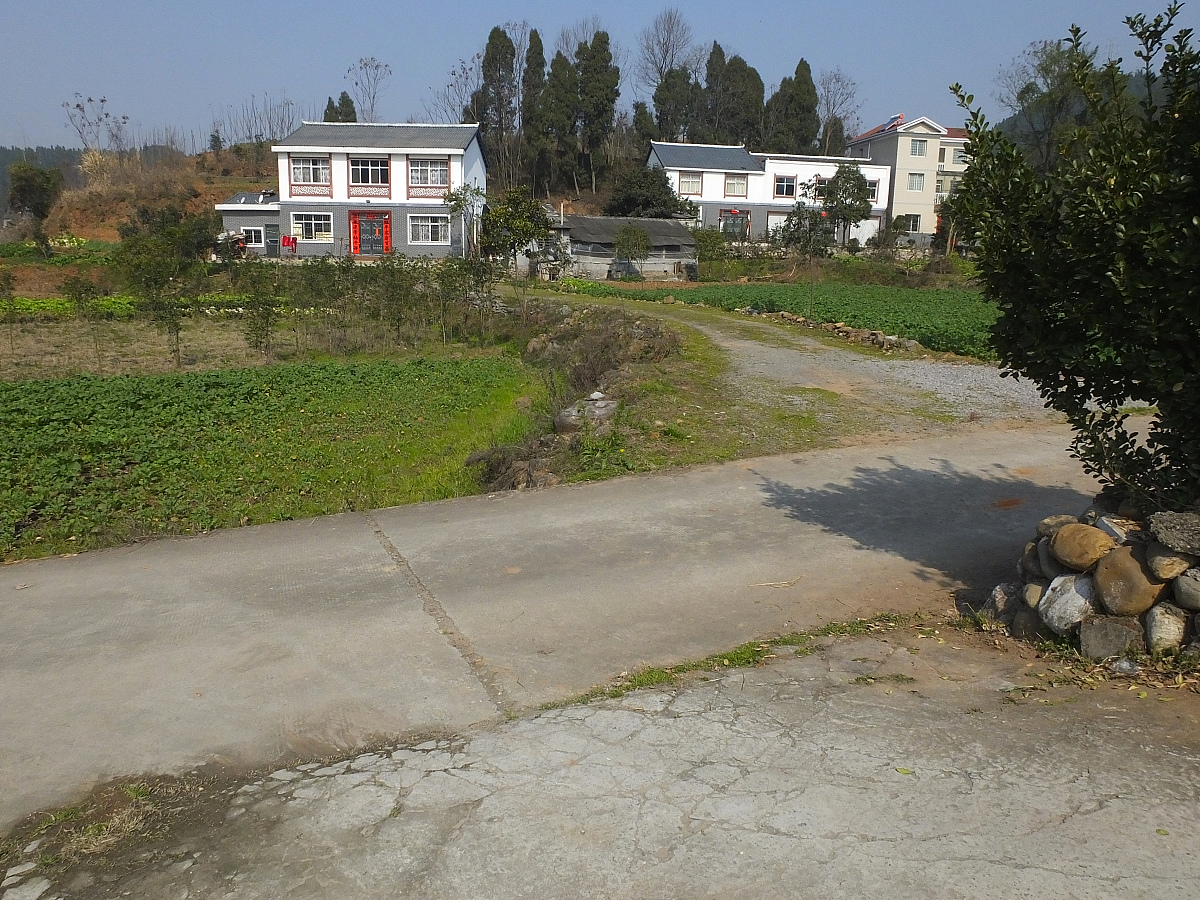 写一首表达兴奋情绪的中文乡村歌曲歌曲表达的主题为爱情歌词结构为verse1、verse2、Pre-Chorus1、chorus1、chorus2、verse3、verse4、chorus3、Bridge1、chorus4并确保chorus1、chorus2、chorus3、chorus4、verse5、Pre-Chorus2、chorus5、Bridge2、歌词不重复每段歌词结尾使用中文mengw