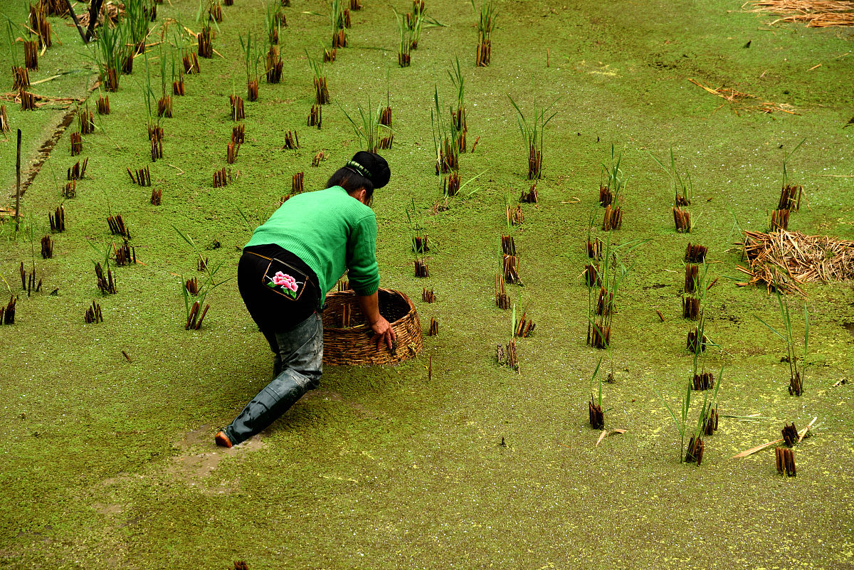 黔东南民族职业技术学院文秘专业教学质量怎么样？