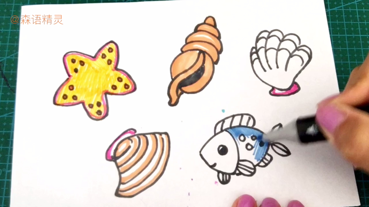 简笔画教程之海洋生物,海星贝壳鱼照着画很简单,小白都能学会