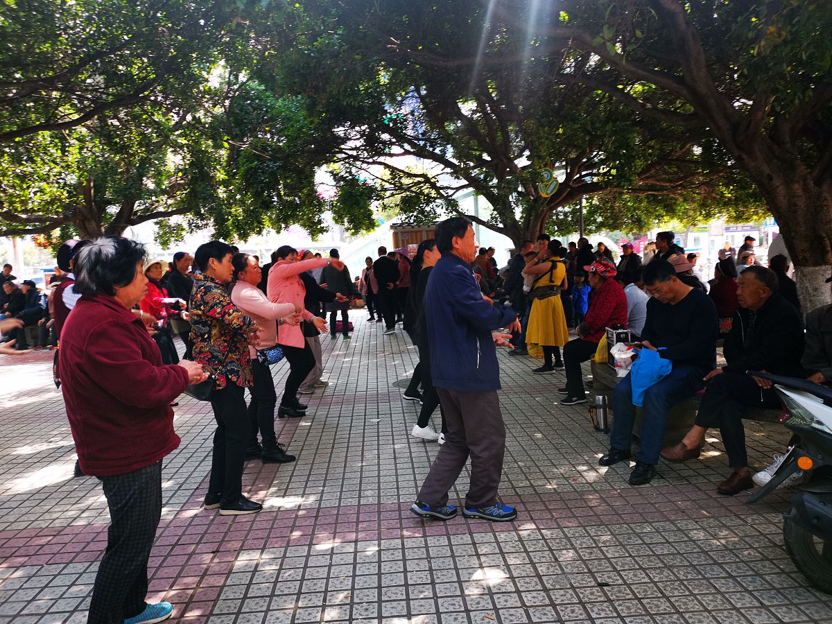 大理大学地址：云南省大理市下关镇