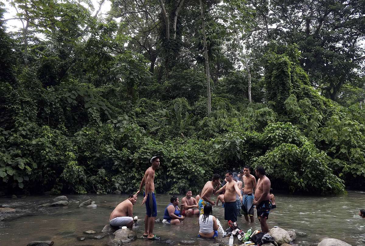 成都职业学院有哪些学校