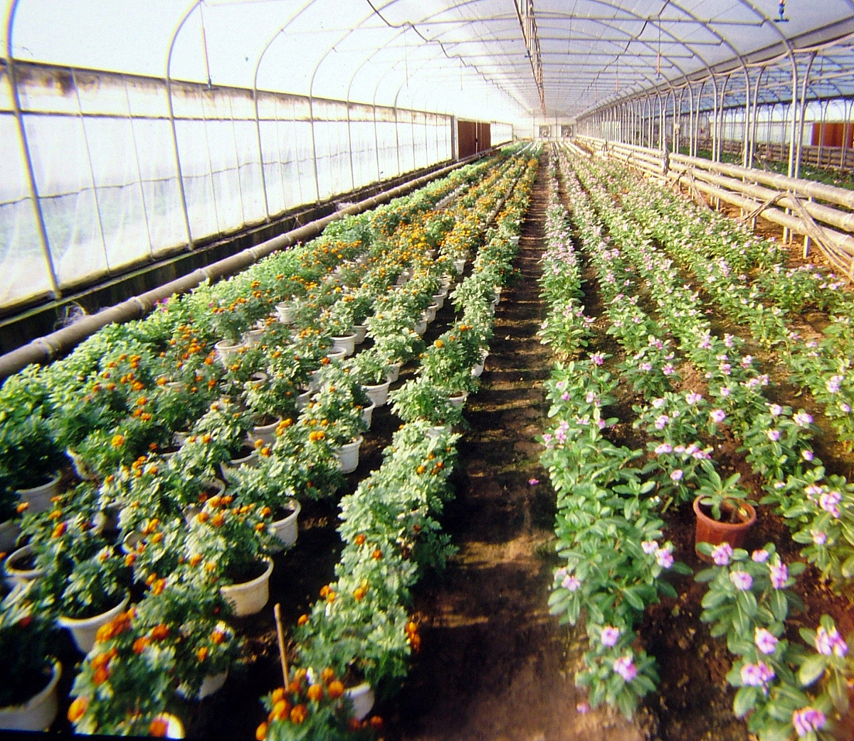 广西城市建设学校2023年招生简章