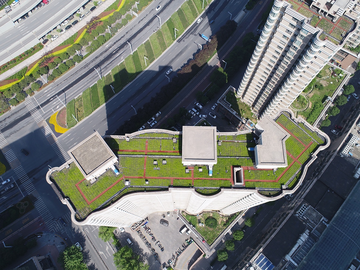 缓解热岛效应的建议的措施500字