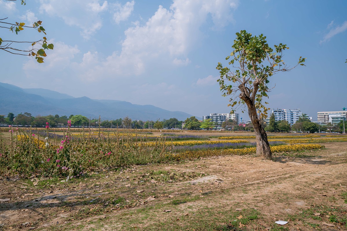 泰国现代汉语教育研究生课程：院校推荐与申请指南