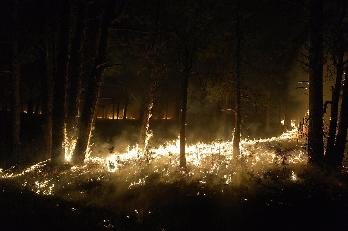 当地时间2013年6月11日,美国科罗拉多州普林斯地区山火逼近森林边缘,