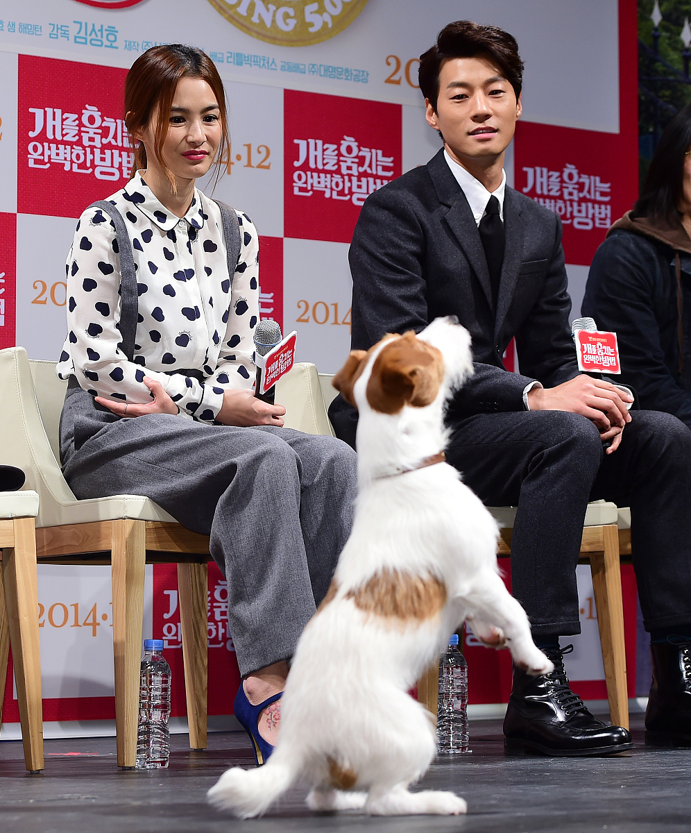 2014年11月26日,首尔,电影《偷狗的完美方法》召开发布会.***_***姜惠