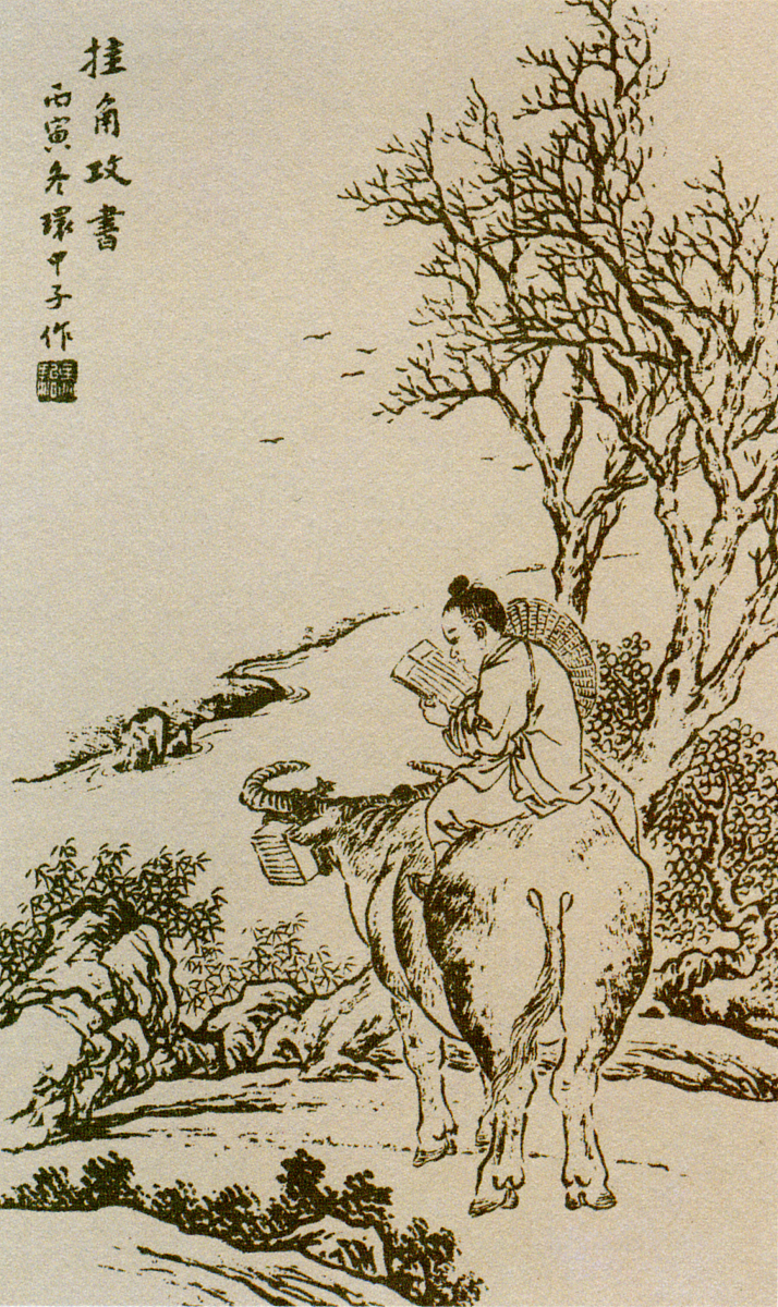 勤奋的小芳：睡前故事激励孩子努力学习和追梦