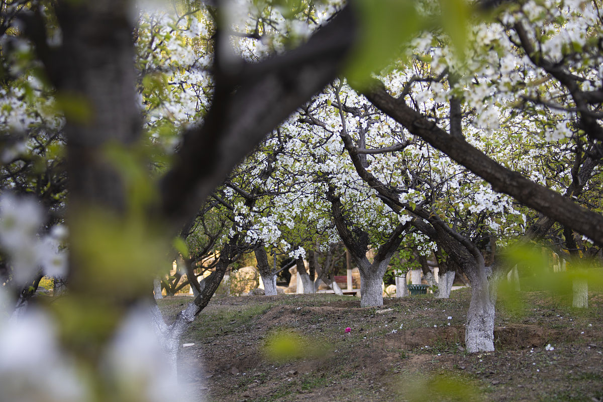 陕西工程科技高级技工学校工程测量专业怎么样