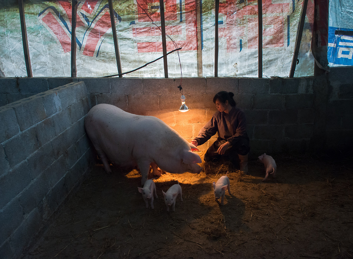 五个搞笑整蛊段子，让你笑到肚子疼！