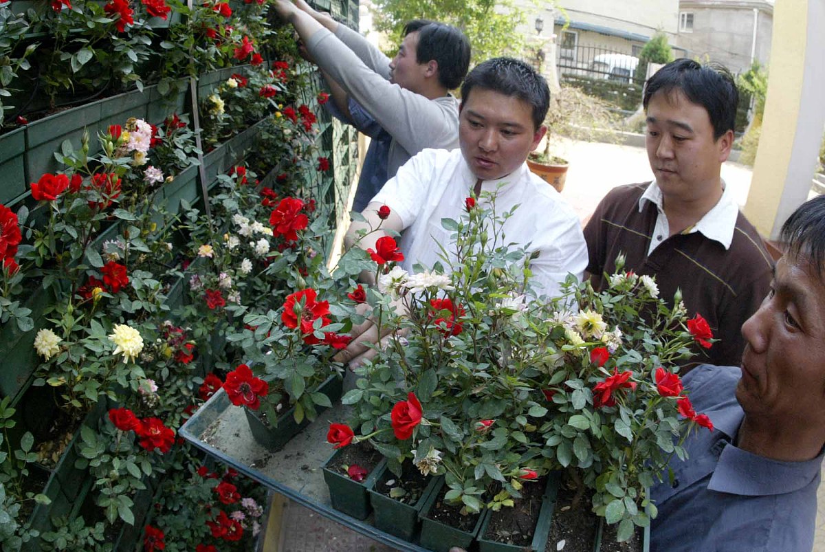 2006年5月14日下午,在北京朝阳区居民孙宝童,孙佳杰父子家中见到已申