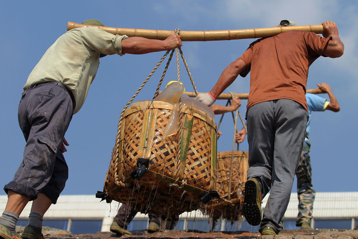 根据《鱼类学》知识撰写一篇关于鱼类或者渔业主题的论文大纲
