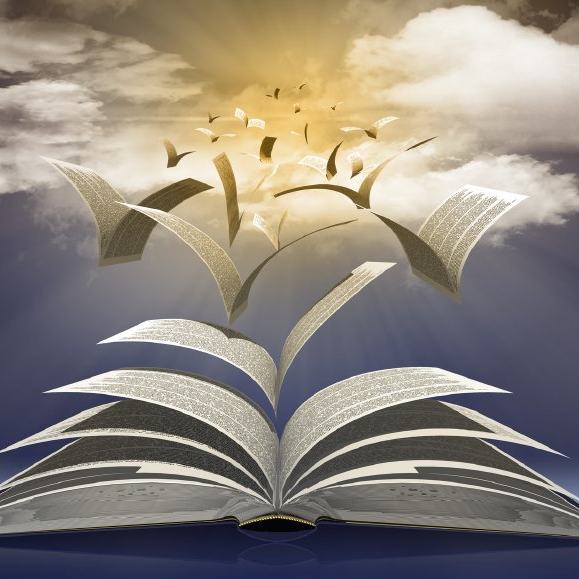 北京大学最好的4大王牌专业,学科评估荣获A+