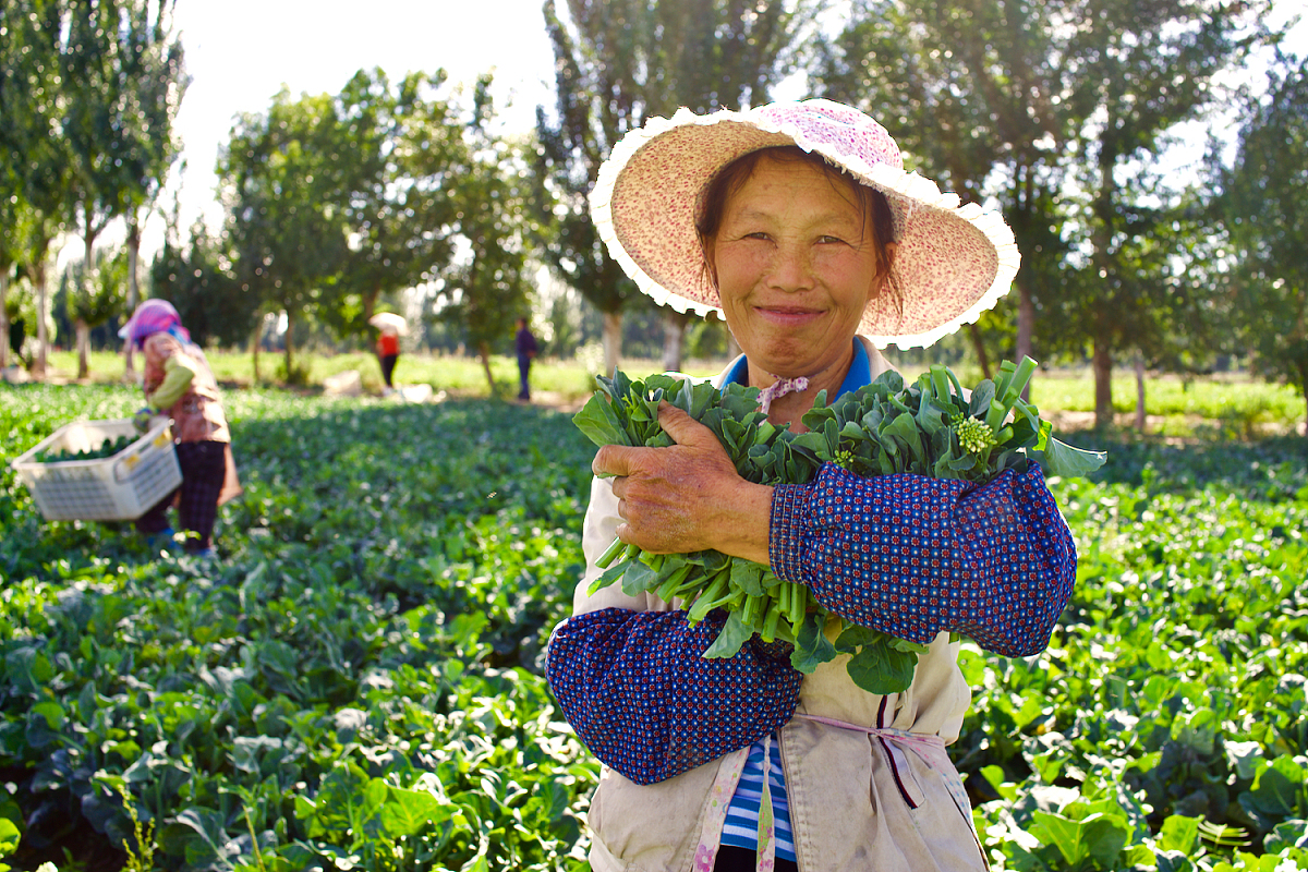 以思维深度参与的初中地理大单元教学策略写一篇论文