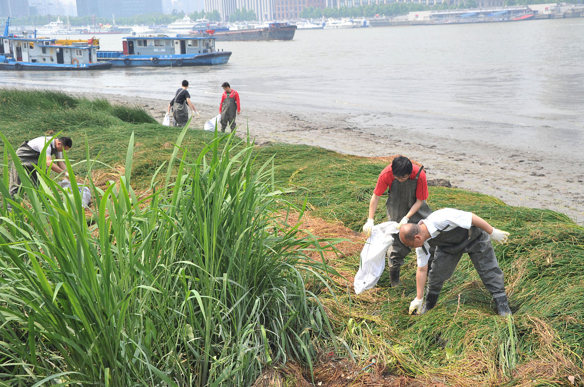 中国挖掘机市场未来格局