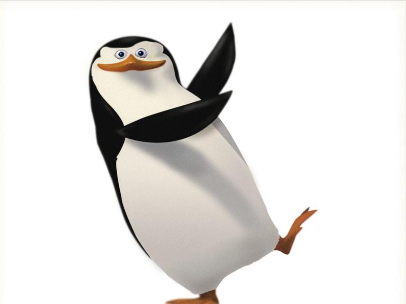 skipper:《马达加斯加》企鹅四贱客头目