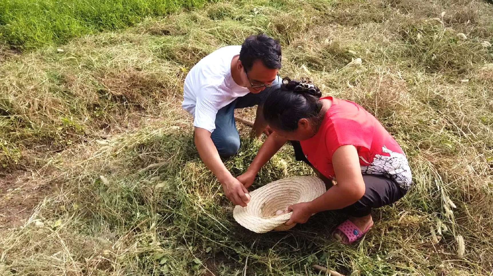 农村小哥帮妈妈地里除草,草丛中发现一窝蛋,拿回家做啥好吃的