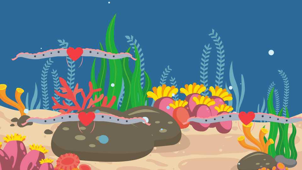 「秒懂少儿」皇带鱼在繁殖期居然性情大变?