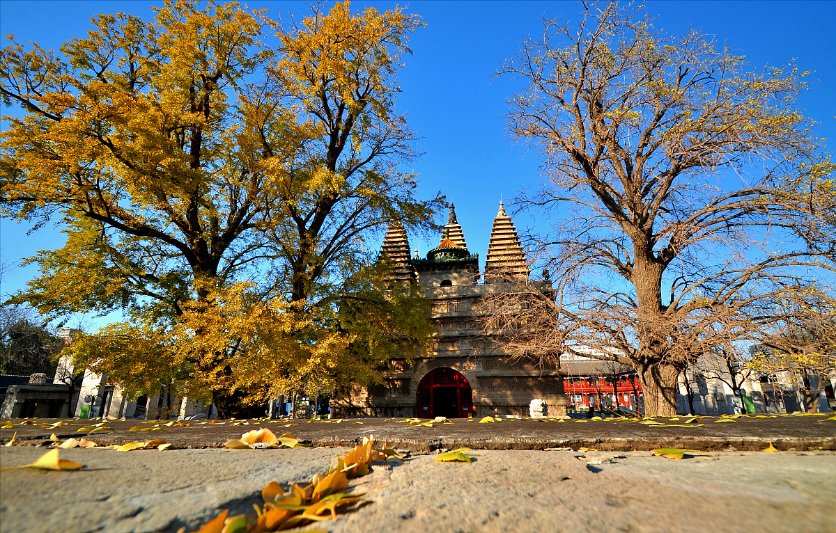 金色童谣：8行诗歌描绘迷人秋景