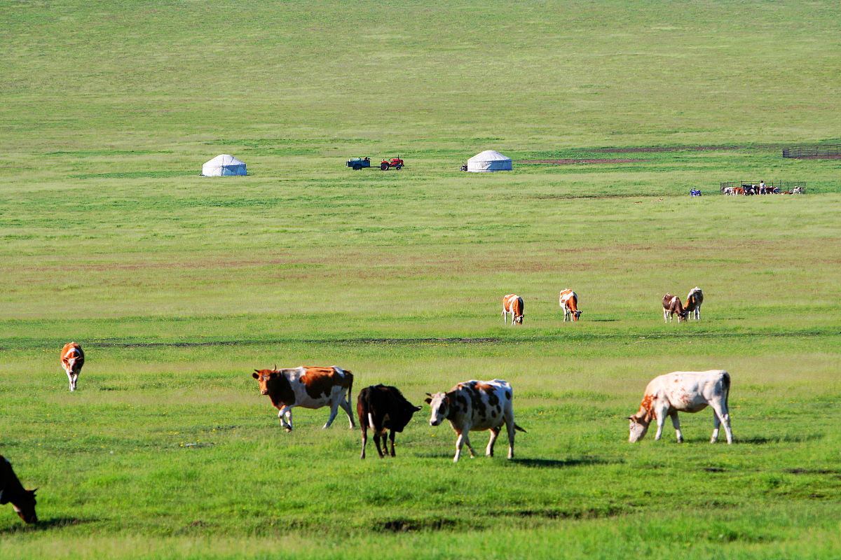 日照农业学校畜牧兽医专业怎么样？就业前景、师资力量分析